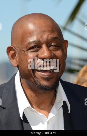 26. Mai 2013 besucht - Cannes, Frankreich - Schauspieler FOREST WHITAKER den Photocall "Zulu" während der 66. jährlichen Cannes Film Festival im Palais des Festivals. (Kredit-Bild: © Friedrich Injimbert/ZUMAPRESS.com) Stockfoto