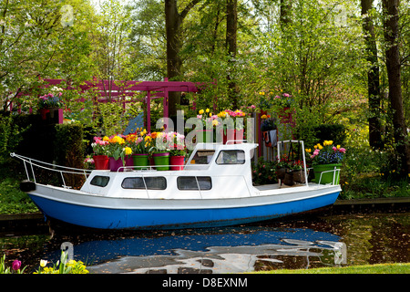 Boot mit holländischen Tulpe Blumen in der Nähe von Bäumen bedeckt Stockfoto