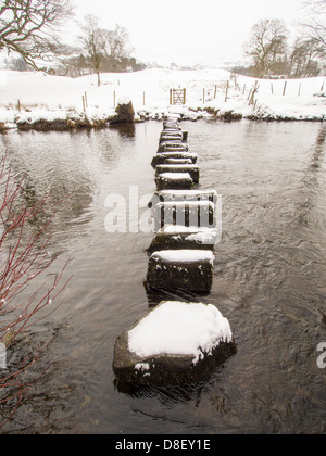 Trittsteine über den Fluß Rothay in der Nähe von Ambleside, Lake District, Großbritannien. Stockfoto