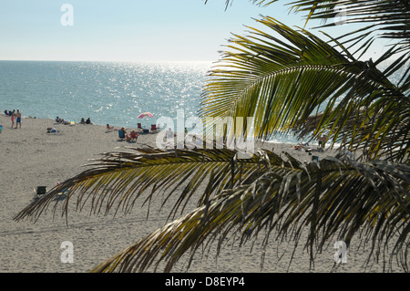 Gruppen von Strandurlauber entspannen Sie am Strand von Venice, Florida. Stockfoto