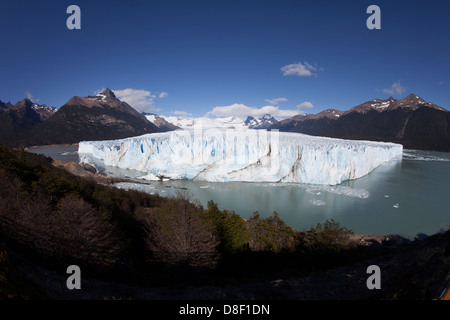 Der gigantische Perito Moreno Gletscher im südlichen Patagonien Eisfeld Stockfoto