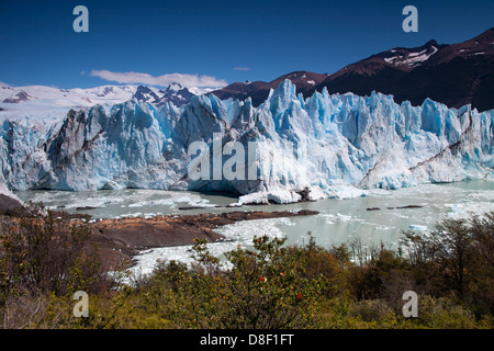 Der gigantische Perito Moreno Gletscher im südlichen Patagonien Eisfeld Stockfoto