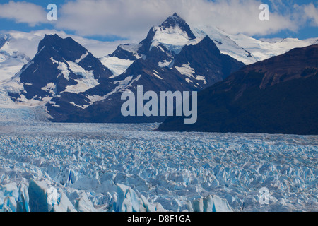 Der gigantische Perito Moreno Gletscher im südlichen Patagonien Eisfeld Stockfoto