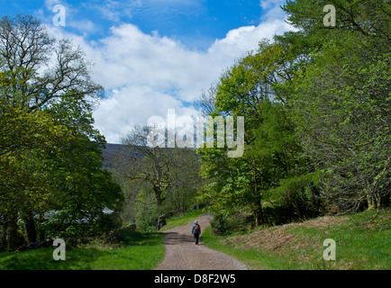 Weibliche Walker auf einer Strecke in Ennerdale-Tal, West Cumbria, England UK Stockfoto