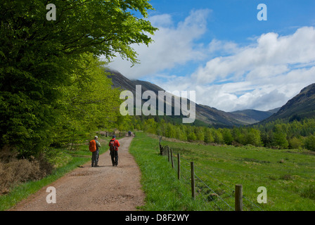 Männliche Wanderer auf einer Strecke in Ennerdale-Tal, West Cumbria, England UK Stockfoto