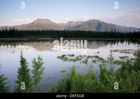Ein Tarn oder See direkt an der Autobahn 2 spiegelt die Alaska-Berglandschaft Stockfoto