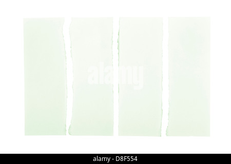 Grünbuch-Streifen auseinander gerissen und auf einem weißen Hintergrund isoliert Stockfoto