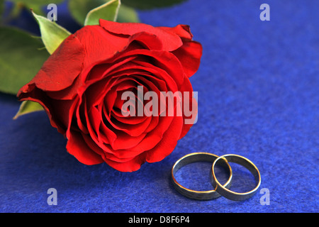 Berlin, Deutschland, zwei goldene Ringe und eine rote rose Stockfoto