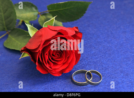 Berlin, Deutschland, zwei goldene Ringe und eine rote rose Stockfoto