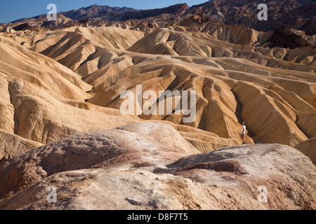 ausgewaschene Felsen von Zabriskie Point im Death Valley National Park in Kalifornien, Vereinigte Staaten von Amerika, USA Stockfoto