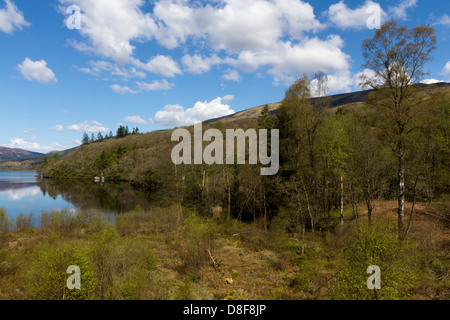 Loch Ard mit Ben Lomond in den Hintergrund, Loch Lomond & The Trossachs National Park, Stirling, Schottland Stockfoto