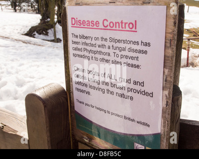 Ein Zeichen über Phytophthora-Infektion auf die Stiperstones in Shropshire, England. Stockfoto