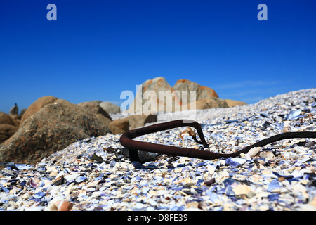 Strand mit getrockneten Seetang im Vordergrund, St Helena Bay an der Westküste des Western Cape, Südafrika Stockfoto