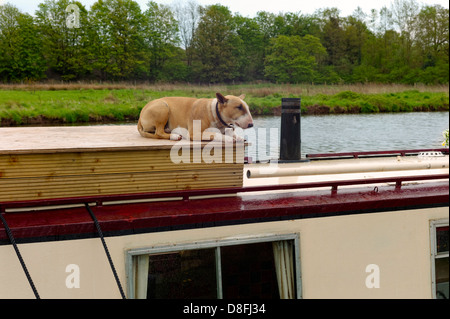 Bull Terrier liegend auf einem engen Boot Dach beobachten die Szenerie auf dem Trent und Mersey Kanal vorbeischweben Stockfoto