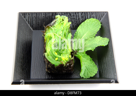 Hergestellt aus Algen am Gericht, Sushi Sushi ist ein Lebensmittel der Japaner. Stockfoto