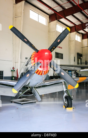 Eine P51 Mustang Flugzeug an die Fantasy Flight Museum FL Stockfoto