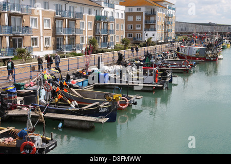 Angelboote/Fischerboote vertäut entlang der Uferpromenade in Brighton Marina Stockfoto