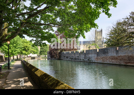 Wassergraben runden den Bischofspalast in Wells, Somerset, England, UK - mit Kathedrale im Hintergrund Stockfoto