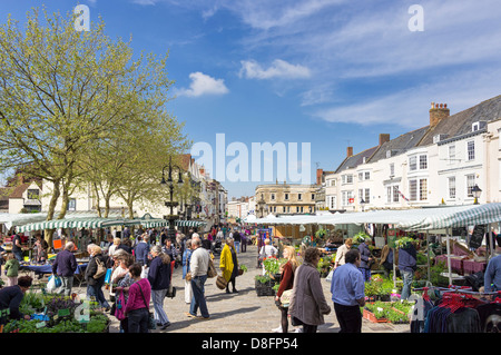 Wells, Somerset, England, UK - Straße Bauernmarkt unter freiem Himmel Stockfoto