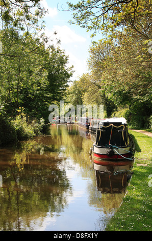 Narrowboats am Oxford-Kanal in der Nähe von Thrupp in Oxfordshire Stockfoto