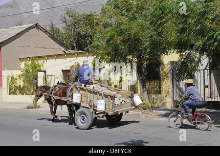 Pferdekutsche Stockfoto