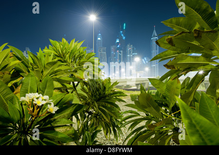 Pflanzen auf ein Autobahnkreuz an der Sheikh Zayed Road mit Wolkenkratzern in der Marina, in der Nacht, neue Dubai, Vereinigte Arabische Emirate Stockfoto