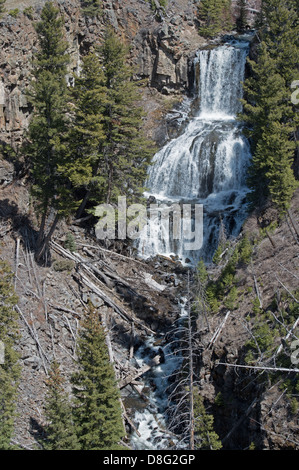 Wasserfall, Undine fällt, Yellowstone-Nationalpark, Yellowstone, Wyoming, Stockfoto