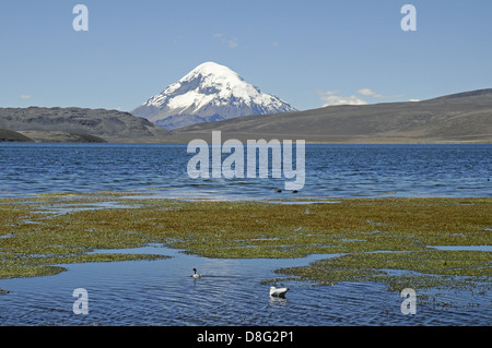 Blick auf den Vulkan Cerro de Quisiquisini Stockfoto