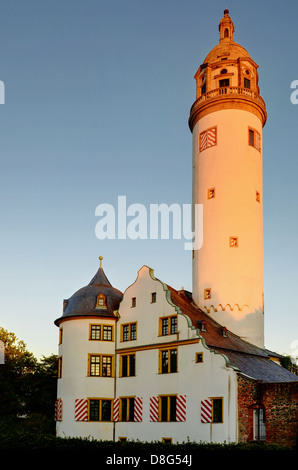 Frankfurt-Hoechst Burg Stockfoto