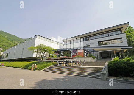 Museum der schönen Künste Stockfoto