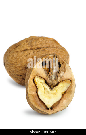 Split-Nussbaum Stockfoto