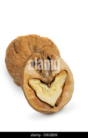 Split-Nussbaum Stockfoto