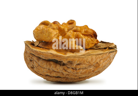 Split-Nussbaum Stockfoto