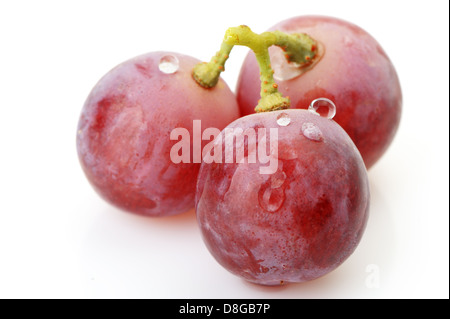 Drei Beeren des roten Trauben hautnah Stockfoto