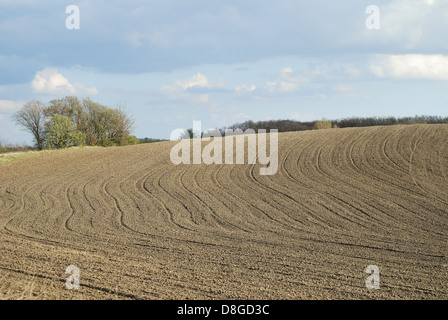 Linien im Feld Frühling Stockfoto