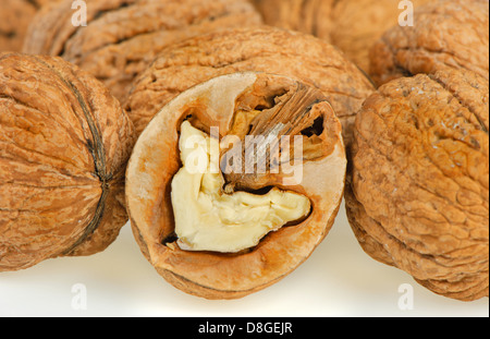 Split-Nussbaum Stockfoto