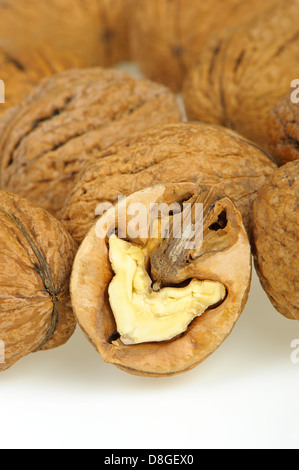 Split-Nussbaum Stockfoto