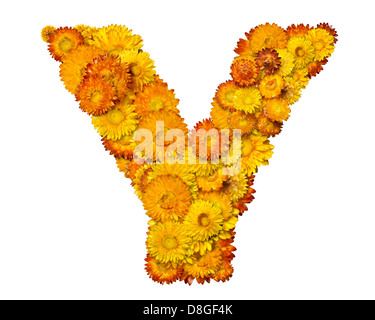 Alphabet aus gelben und orangefarbenen Blüten Stockfoto