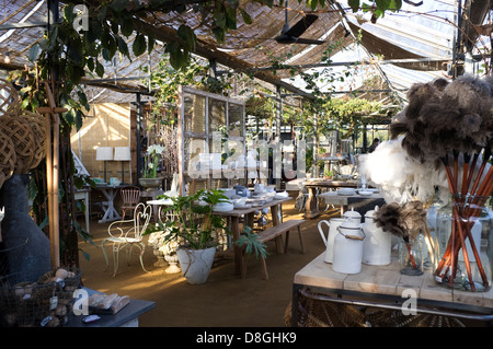 Petersham Baumschulen, einer Gärtnerei, Teestube und Cafe in Richmond, Surrey, England, UK. Stockfoto