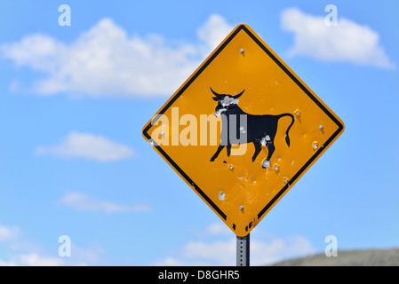 Autobahn-Rinder auf Autobahn Warnung melden mit Einschusslöchern in der südlichen Idaho-Wüste. Stockfoto