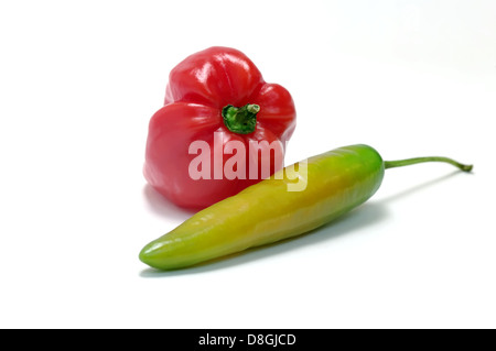 Rote Habanero grün Jalapeno Stockfoto