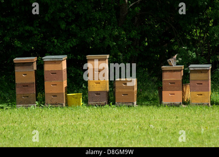 Imkerei Stockfoto