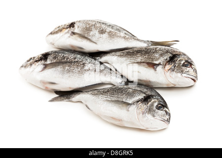 Aus Fischfutter Stockfoto