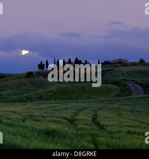 Mondlicht über Val d ' Orcia, Toskana, Italien Stockfoto