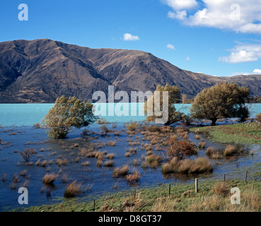 Blick über Lake Benmore im Waitaki Valley, in der Nähe von Omarama, Region Canterbury, Südinsel, Neuseeland. Stockfoto