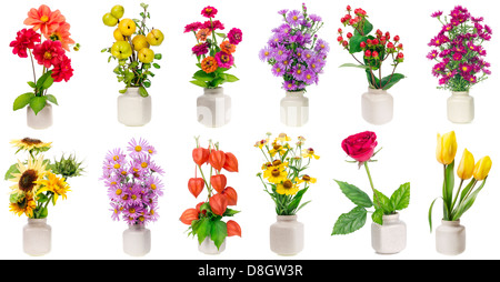 Minimalistische Blumensträuße in Keramik Töpfe gesetzt auf weißem Hintergrund. Alle Bilder in voller Größe finden Sie in meinem portfolio Stockfoto