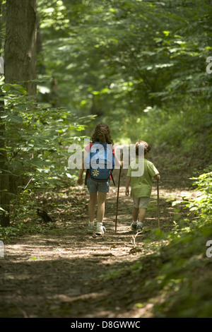 Eine Gruppe von Kindern wandert auf einem Waldweg, genießt die Natur und erkundet die Natur. Sie sind von Bäumen und natürlichen Landschaften umgeben und fördern körperliche Aktivität und Umweltbewusstsein. Stockfoto
