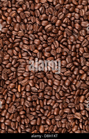 Eine dichte, von oben nach unten geschlossene Ansicht der gerösteten Kaffeebohnen, die den gesamten Rahmen füllen. Die Bohnen sind gleichmäßig braun mit sichtbaren Rissen und glänzenden Oberflächen, was auf eine mittlere bis dunkle Röstung hindeutet. Das sind sie Stockfoto
