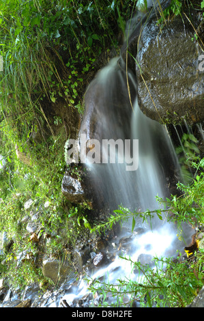 Fließwasser Gaya District, Bihar, Indien Stockfoto