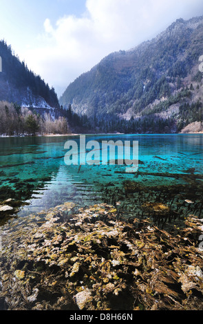 Fünf Blume See in Jiuzhaigou Nationalpark, Sichuan, China Stockfoto